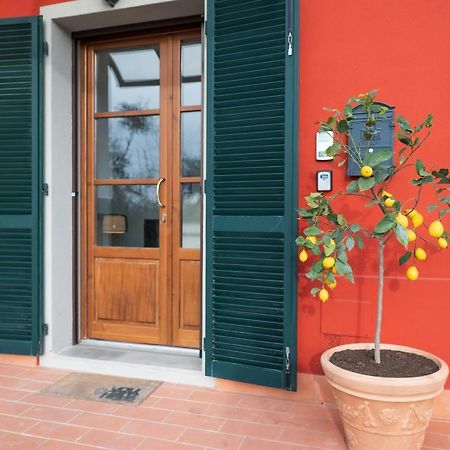 Lemon Garden House Apartment San Miniato Basso ภายนอก รูปภาพ